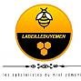 labeilleduyemen